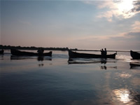 Fotografii Delta Dunarii, foto Delta Dunarii, pictures Danube Delta